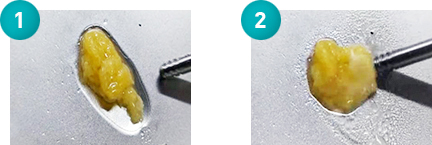 ���� ������ ���̴� ���